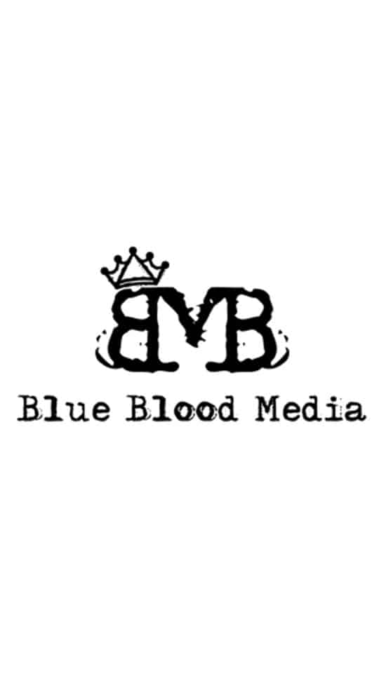 Partners Hoofddorp Winkelstad Blue Blood Media