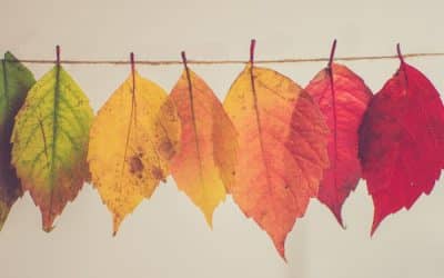 Herfstshoppen in Hoofddorp